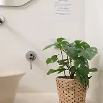 Hotel Naxos Poseidon